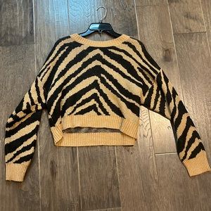 American Eagle sweater